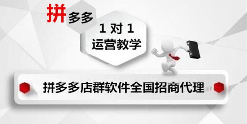 大象拼多多店群軟件代理 湖北軟件開(kāi)發(fā)服務(wù)至上